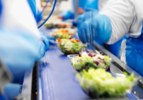 A commercial production line of salads being made and packaged